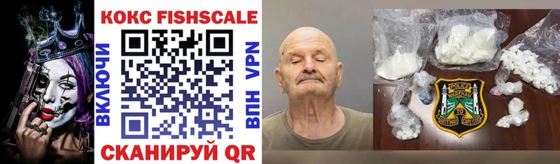 COCAIN Fish Scale  mega сайт  Няндома 