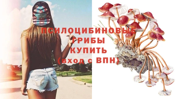 mdpv Белокуриха
