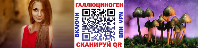 где найти   Няндома  Псилоцибиновые грибы прущие грибы 